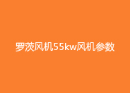 羅茨風(fēng)機(jī)55KW參數(shù).jpg